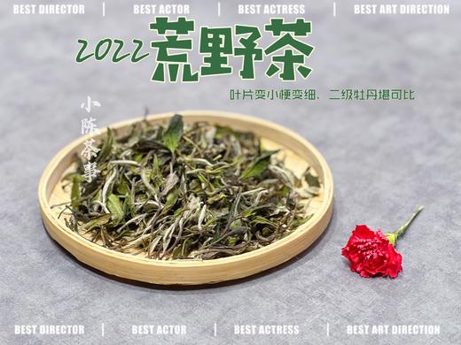 【连续4年口碑】一款极其稀缺的特制荒野茶2022《荒野老枝》，它的主人不缺钱，随性子采摘（60克罐装） 商品图2
