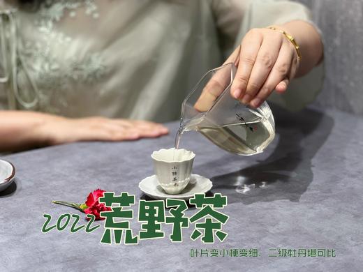【连续4年口碑】一款极其稀缺的特制荒野茶2022《荒野老枝》，它的主人不缺钱，随性子采摘（60克罐装） 商品图9