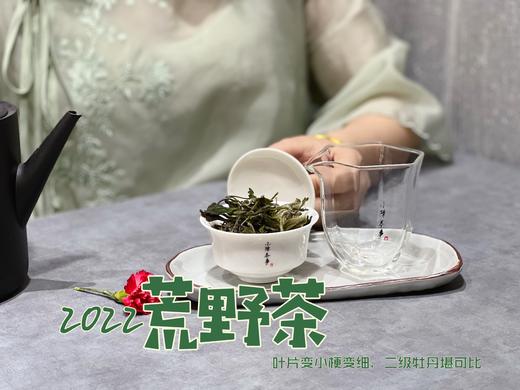 【连续4年口碑】一款极其稀缺的特制荒野茶2022《荒野老枝》，它的主人不缺钱，随性子采摘（60克罐装） 商品图8