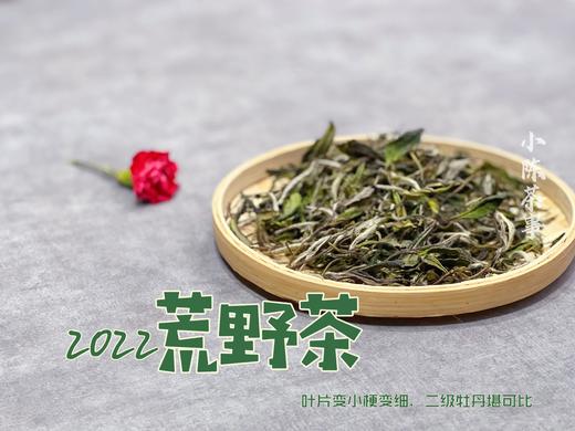 【连续4年口碑】一款极其稀缺的特制荒野茶2022《荒野老枝》，它的主人不缺钱，随性子采摘（60克罐装） 商品图5