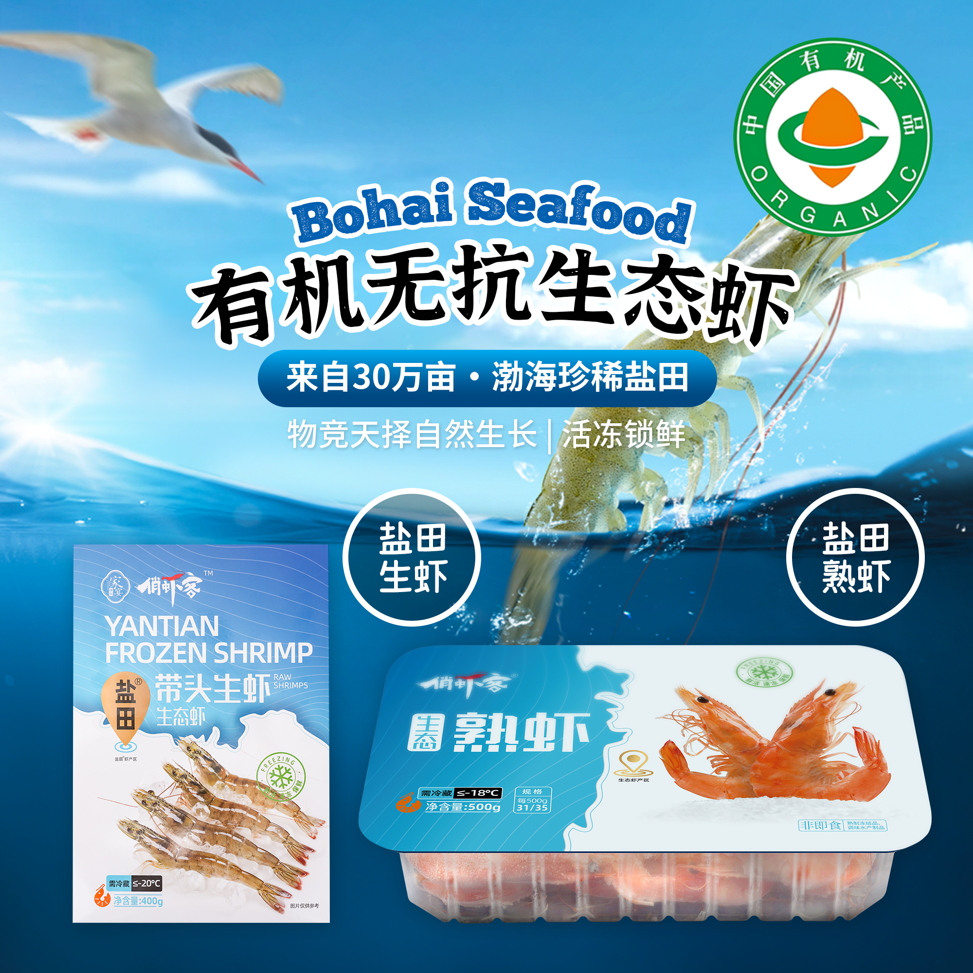 有机无抗生态虾400g*3盒