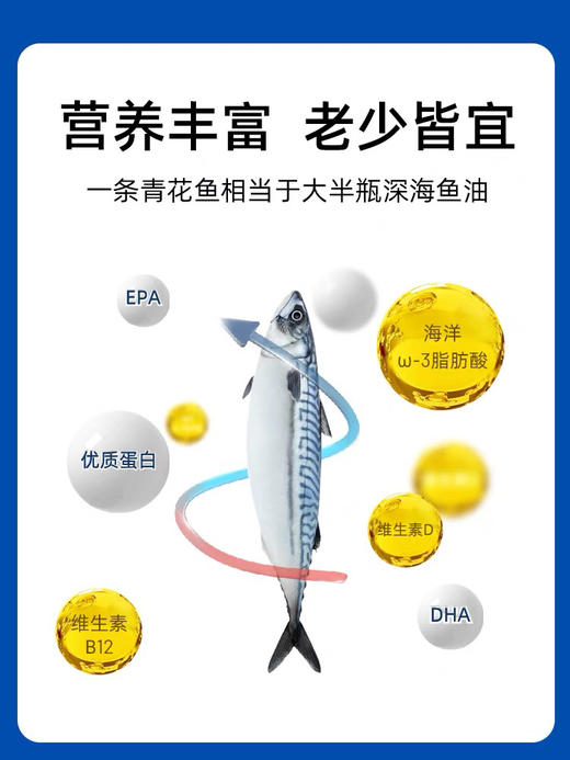 市舶士挪威进口青花鱼片！营养丰富 老少皆宜～ 商品图4