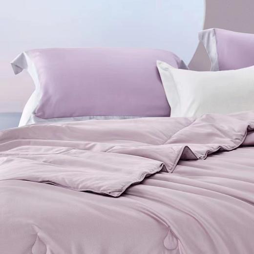 【Luolai罗莱厅】B7F 罗莱.天长地久桑蚕丝四季 商品图2