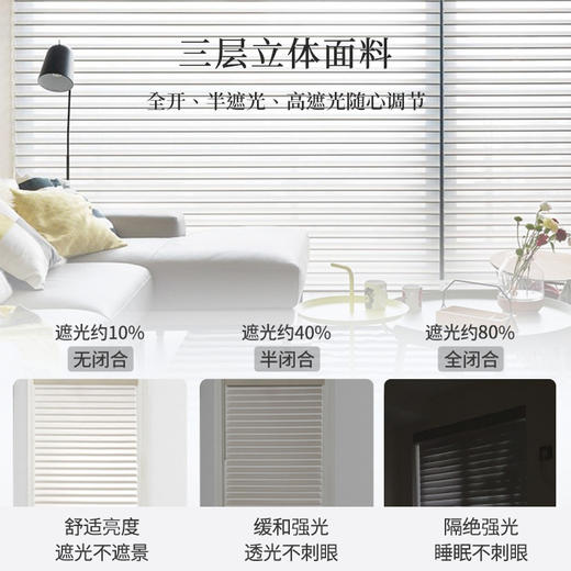 #香格里拉帘#金蝉精品遮光 香格里拉帘窗帘柔纱帘卷帘百叶窗 商品图2