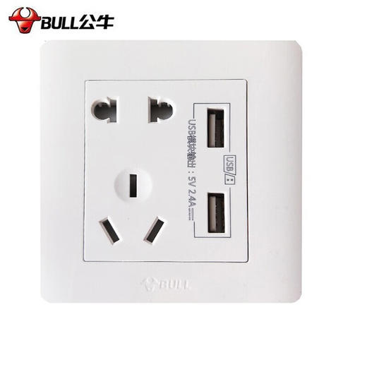 【DZ】公牛BULL G32系列86型暗装墙壁开关五孔10A插座带USB (白色) 商品图0