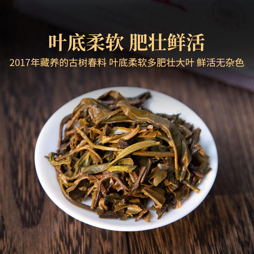 2023年五星砖王30g/盒免撬小方片云南布朗山古树春茶浓强甘甜普洱生茶 商品图4
