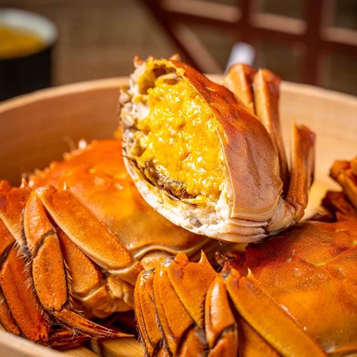六月黄螃蟹（一斤装） 商品图3