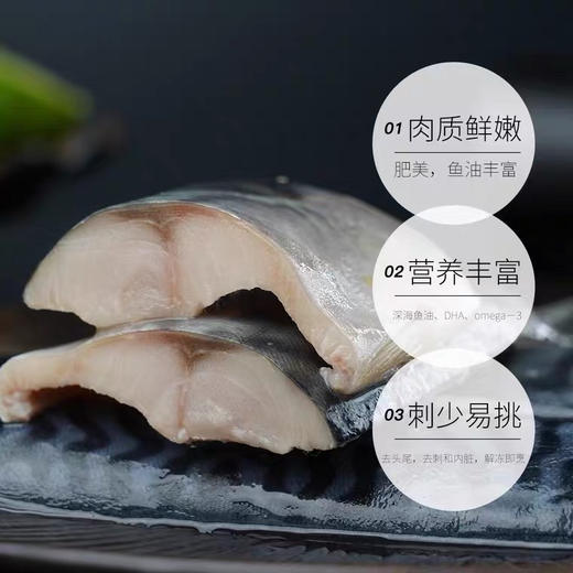 市舶士挪威进口青花鱼片！营养丰富 老少皆宜～ 商品图3