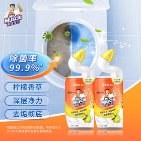 【DZ】威猛洁厕洁强力除污垢马桶清洁剂除臭除菌去异味黄渍清香型两瓶600g