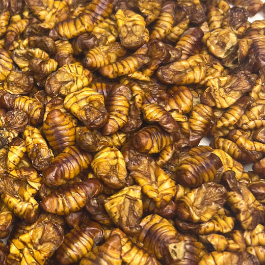 蚕蛹（有机桑蚕干蚕蛹） 商品图1