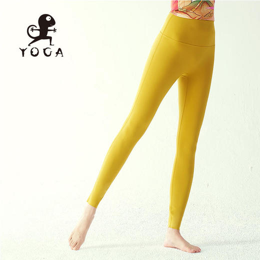 壁虎瑜伽【2309KZ249】高弹裸感九分裤【5天发货】 商品图2