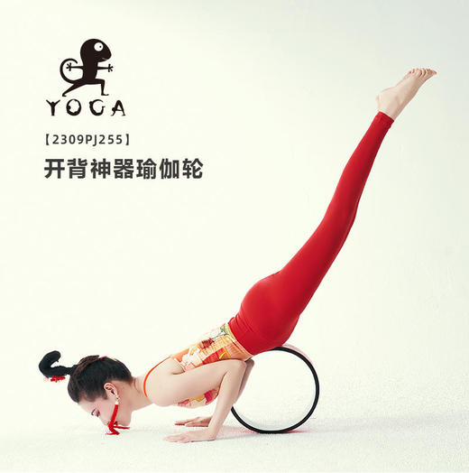 壁虎瑜伽【2309PJ255】开背神器瑜伽轮【5天发货】 商品图1