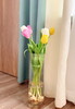 【水培郁金香种植套装】进口郁金香种球5颗+玻璃瓶1个+鹅卵石若干+多菌灵1包/份 品种随机 （上海仓） 商品缩略图10