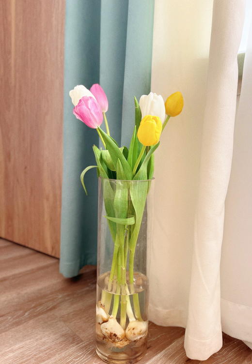 【水培郁金香种植套装】进口郁金香种球5颗+玻璃瓶1个+鹅卵石若干+多菌灵1包/份 品种随机 （上海仓） 商品图10