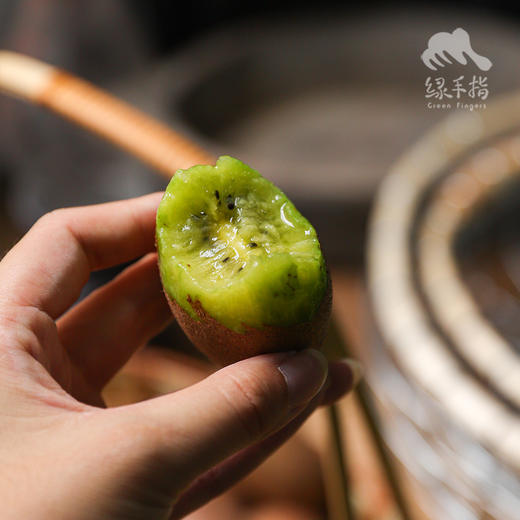 生态翠香猕猴桃【中通或韵达】 | 合作生产*Ecological Kiwifruit | Coproducted 商品图1