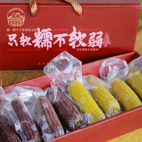 有机玉米组合(4黄4黑)