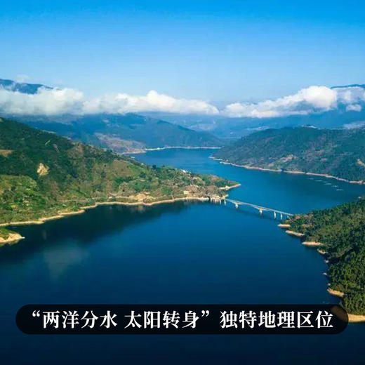 【618导火索】【临沧味道】集临沧勐库十八寨古树精华，做临沧标杆韵味成本价357克/饼 300-500年古茶 商品图9