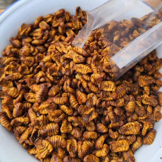 蚕蛹（有机桑蚕干蚕蛹） 商品图3