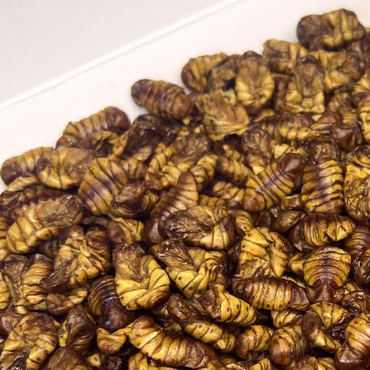 蚕蛹（有机桑蚕干蚕蛹） 商品图2