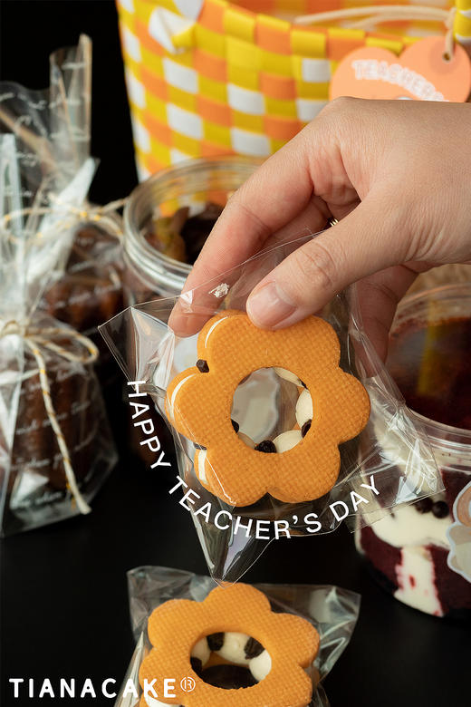 教师节限定-向阳而生 商品图3