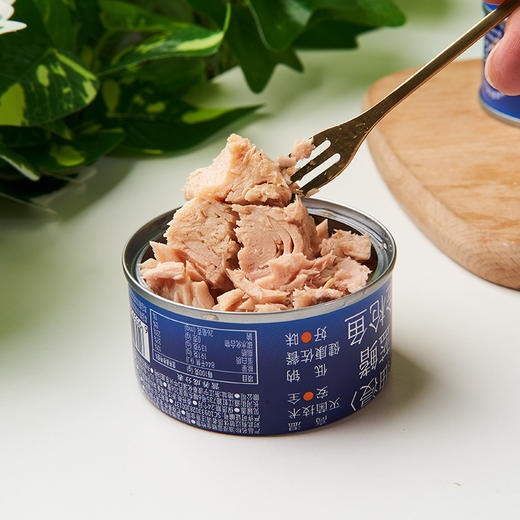 非常鱼块深海蓝鳍金枪鱼罐头85g/罐海鲜罐头 商品图1