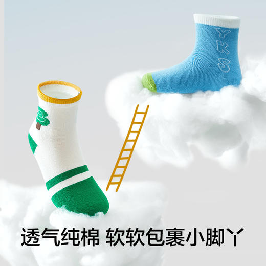 有棵树纯棉无骨男童中筒袜5双装C-S1005 商品图1