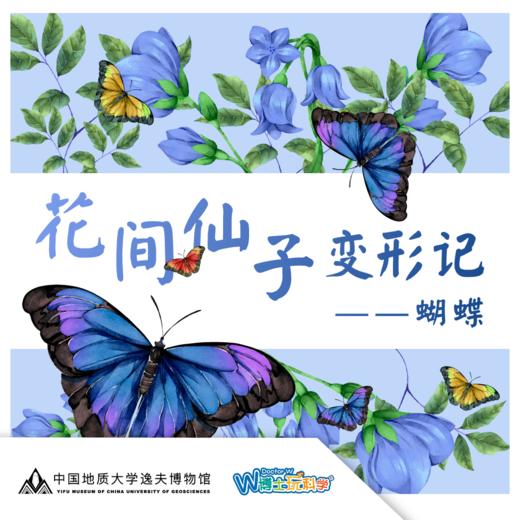 武汉【蝶之语】-花间仙子变形记 商品图0