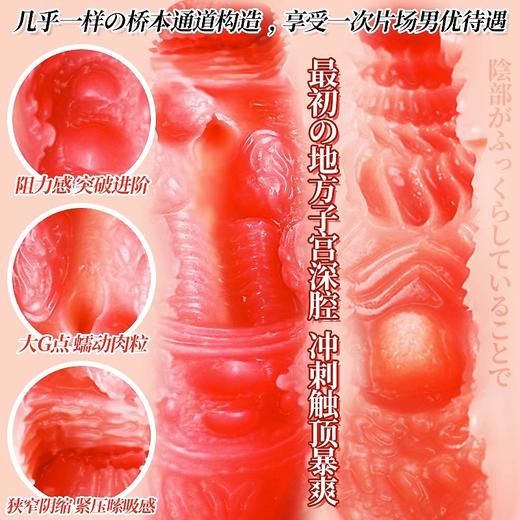 桥本有菜 |【签名款第2代名器·净重850g!】真人1:1复刻 商品图2