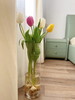 【水培郁金香种植套装】进口郁金香种球5颗+玻璃瓶1个+鹅卵石若干+多菌灵1包/份 品种随机 （上海仓） 商品缩略图3