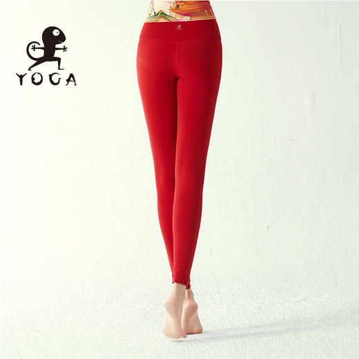 壁虎瑜伽【2309KZ256】高弹裸感九分裤【5天发货】 商品图2