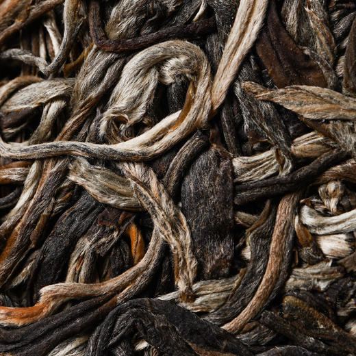 【金孔雀】2018年头春头采价值上百万的配方神兽事业部老大岩老亲制重铸号级荣光 商品图6