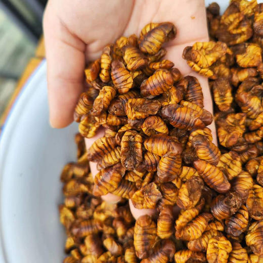 蚕蛹（有机桑蚕干蚕蛹） 商品图4