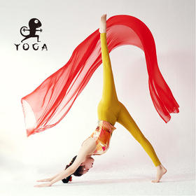 壁虎瑜伽【2309KZ249】高弹裸感九分裤【5天发货】