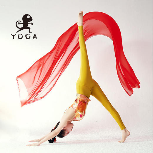 壁虎瑜伽【2309KZ249】高弹裸感九分裤【5天发货】 商品图0