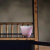 景德镇 忘言/胭脂红粉彩茶花杯 手绘主人杯茶杯仿古单杯陶瓷品茗杯 商品缩略图6