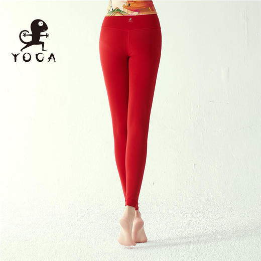 壁虎瑜伽【2309KZ256】高弹裸感九分裤【5天发货】 商品图2
