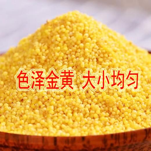 山西广灵特产南百疃黄小米2.5kg袋装 商品图2