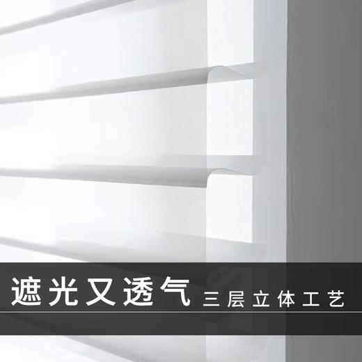 #香格里拉帘#金蝉精品遮光 香格里拉帘窗帘柔纱帘卷帘百叶窗 商品图1