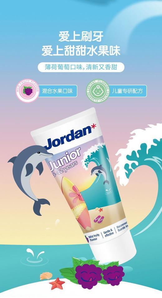 挪威儿童牙膏6-12岁混合水果口味1支装50ml(包装图案随机发货) 商品图0