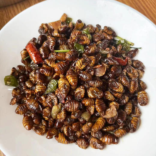 蚕蛹（有机桑蚕干蚕蛹） 商品图0