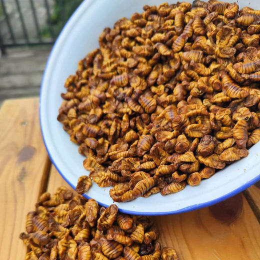 蚕蛹（有机桑蚕干蚕蛹） 商品图5