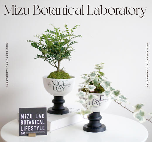 普鲁斯特的甜品杯 商品图4