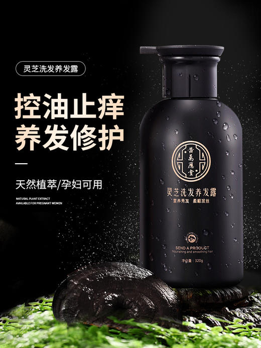 【新版】灵芝洗发水护发露密发正品官方品牌去屑止痒控油改善毛躁 （新旧混发） 商品图0