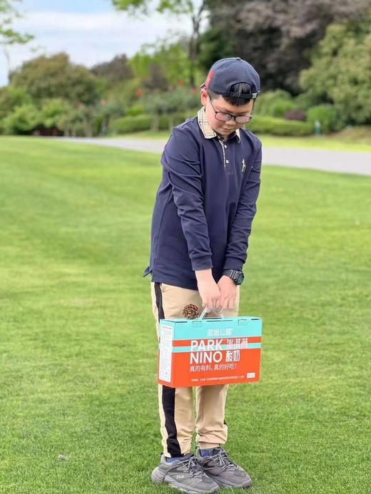 （预售下单2天后发货）尼诺公园冰淇淋酸奶126g*12盒（120g*6g坚果） 商品图13