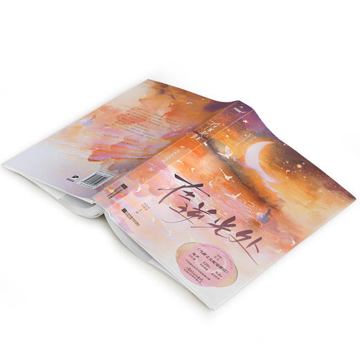 在逆光处 商品图3