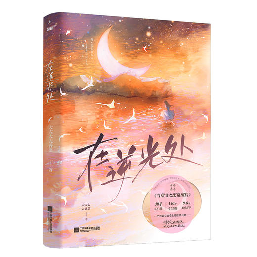 在逆光处 商品图0