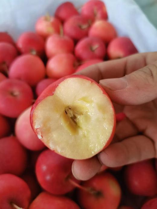 海棠果3斤  产地直发 商品图1