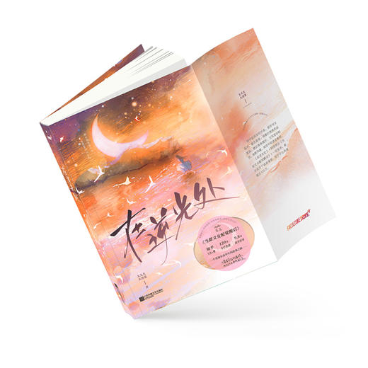 在逆光处 商品图1