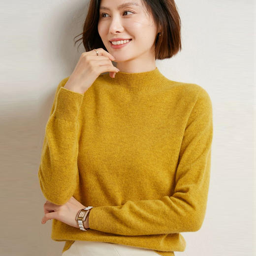 【群团团专享】Avann平面半高领羊毛衫纯羊毛XX-8105 商品图0