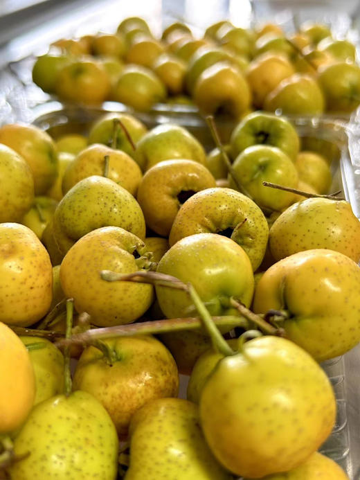 周二配送！稀有品种，阿尔泰富硒黄山楂，来自新疆伊犁地区，不止好看，而且口感粉糯，甜度极高，区别于红山楂，比红的甜，超级好吃，健脾开胃的最佳选择！一盒约400克 商品图1